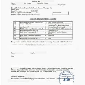 ATIO驾照翻译样本