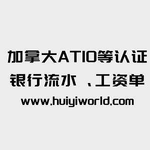加拿大ATIO等认证银行流水、工资单(每页)certified translation of bank statement/page