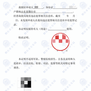 无犯罪记录